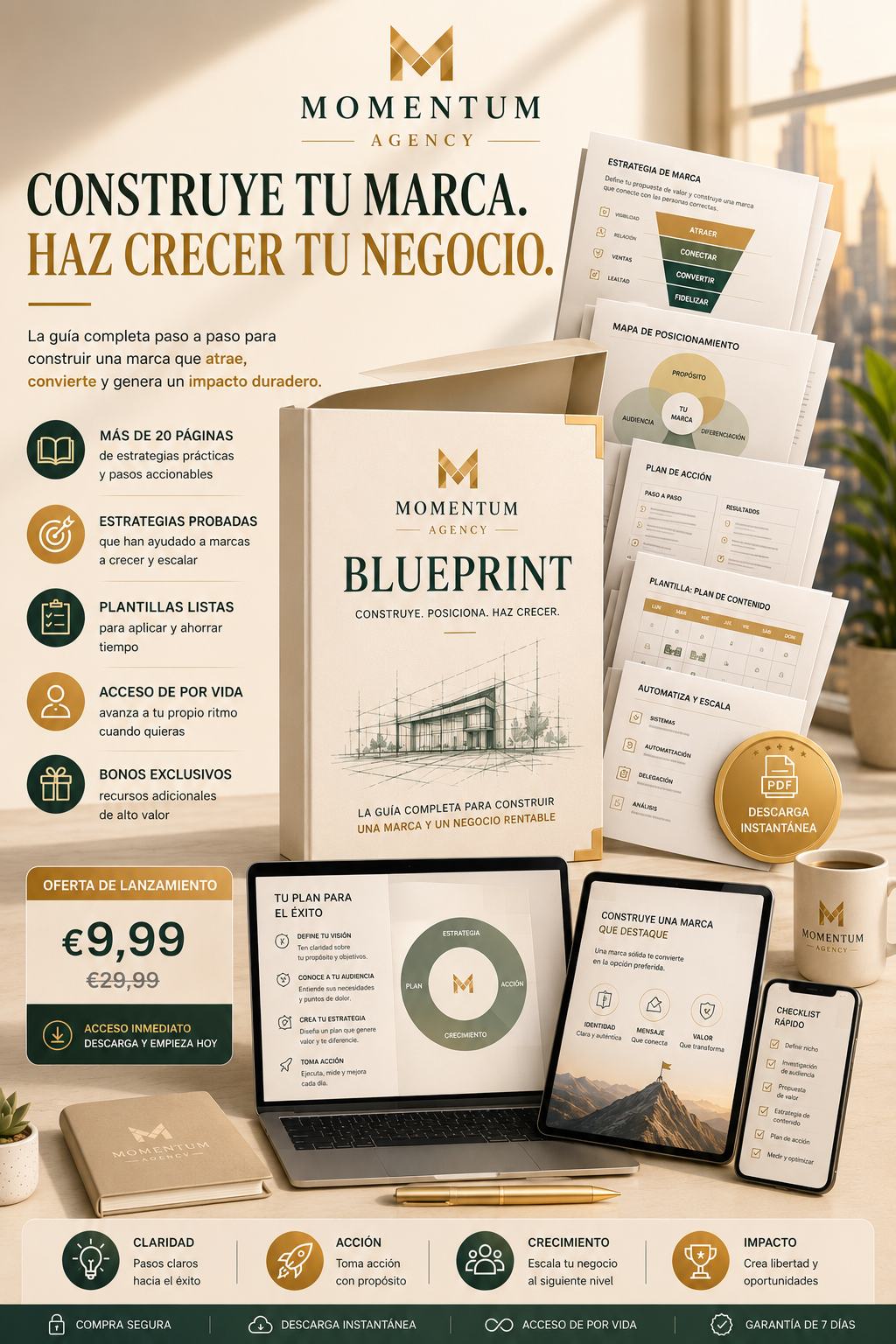 MOMENTUM BLUEPRINT